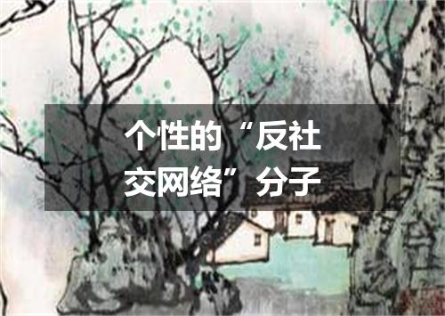 个性的“反社交网络”分子