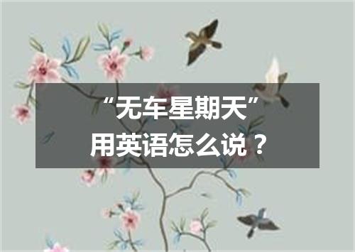 “无车星期天”用英语怎么说?