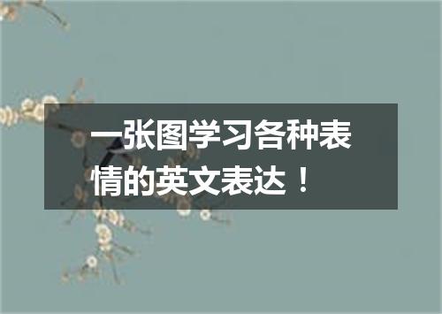 一张图学习各种表情的英文表达!