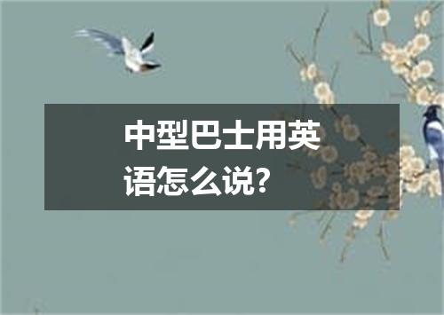 中型巴士用英语怎么说?