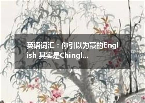 英语词汇:你引以为豪的English 其实是Chinglish!