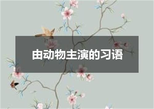 由动物主演的习语