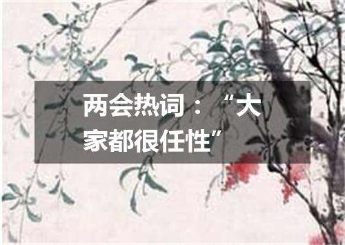 两会热词:“大家都很任性”