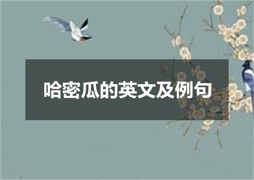 哈密瓜的英文及例句