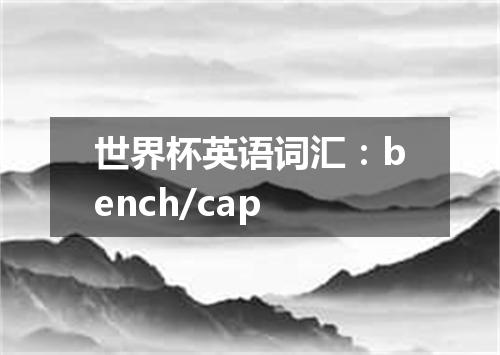 世界杯英语词汇:bench/cap