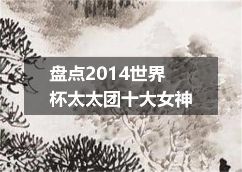 盘点2014世界杯太太团十大女神