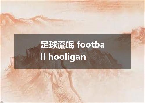 足球流氓 football hooligan