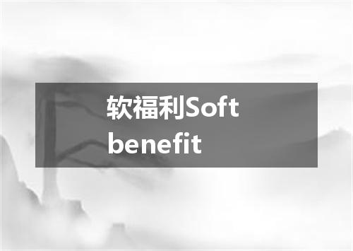 软福利Soft benefit
