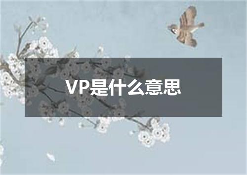 VP是什么意思