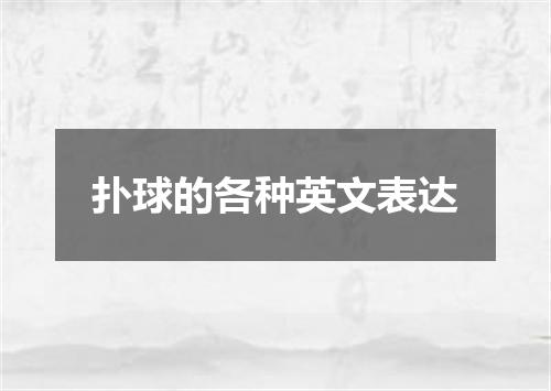 扑球的各种英文表达