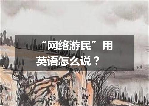 “网络游民”用英语怎么说?
