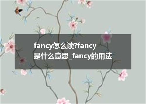 fancy怎么读?fancy是什么意思_fancy的用法
