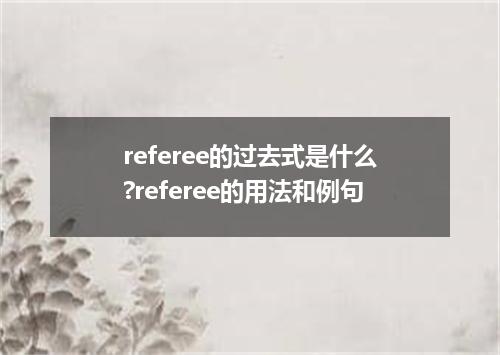 referee的过去式是什么?referee的用法和例句