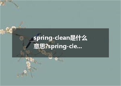 spring-clean是什么意思?spring-clean怎么发音?spring-clean的解释和用法