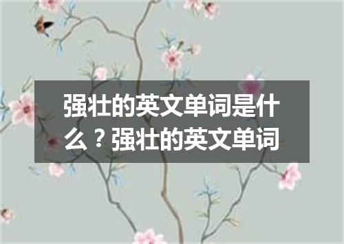 强壮的英文单词是什么?强壮的英文单词