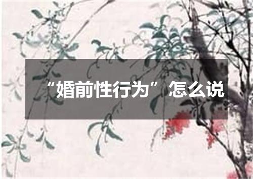 “婚前性行为”怎么说