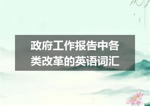 政府工作报告中各类改革的英语词汇