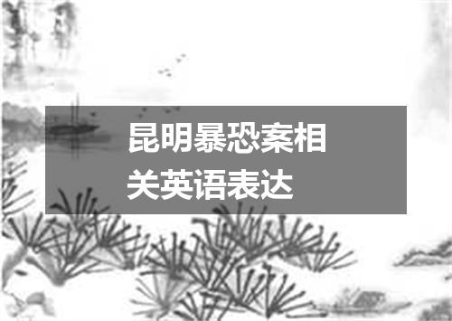 昆明暴恐案相关英语表达