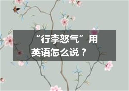 “行李怒气”用英语怎么说?