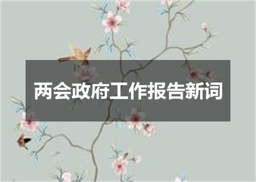 两会政府工作报告新词