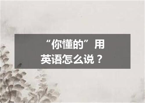“你懂的”用英语怎么说?