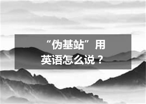 “伪基站”用英语怎么说?