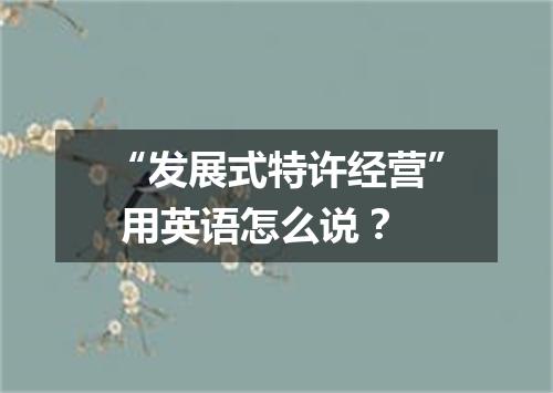 “发展式特许经营” 用英语怎么说?