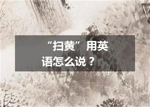 “扫黄”用英语怎么说?