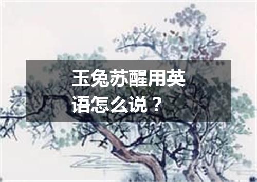 玉兔苏醒用英语怎么说?