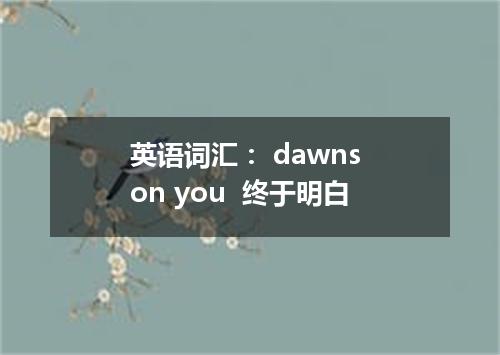 英语词汇: dawns on you 终于明白