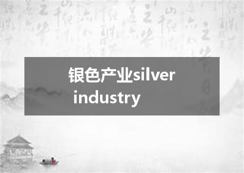 银色产业silver industry