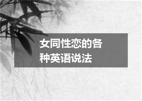 女同性恋的各种英语说法