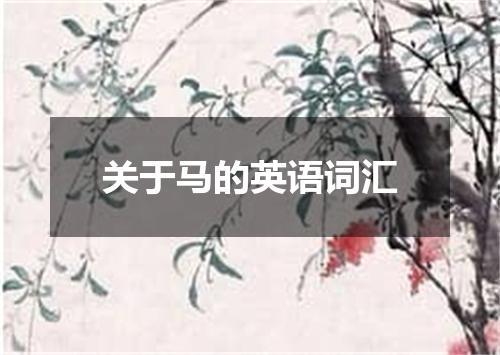 关于马的英语词汇