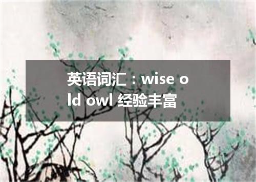 英语词汇:wise old owl 经验丰富