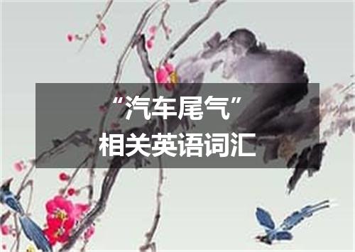 “汽车尾气”相关英语词汇