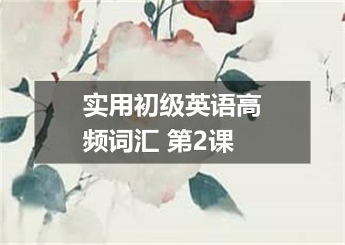实用初级英语高频词汇 第2课