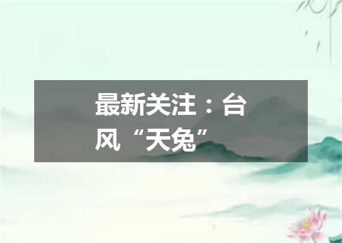 最新关注:台风“天兔”