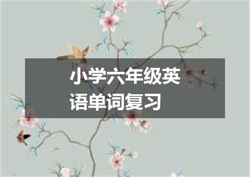 小学六年级英语单词复习