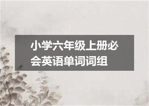 小学六年级上册必会英语单词词组
