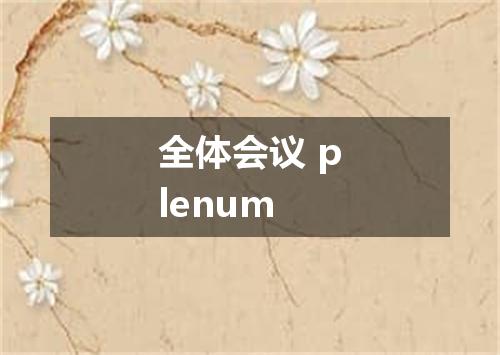 全体会议 plenum