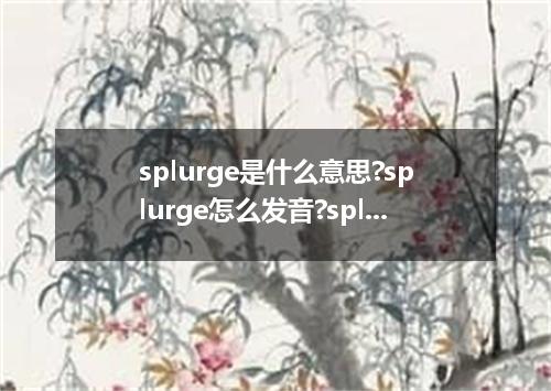 splurge是什么意思?splurge怎么发音?splurge的解释和用法