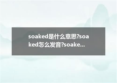 soaked是什么意思?soaked怎么发音?soaked的解释和用法