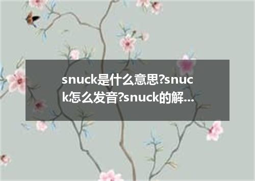 snuck是什么意思?snuck怎么发音?snuck的解释和用法