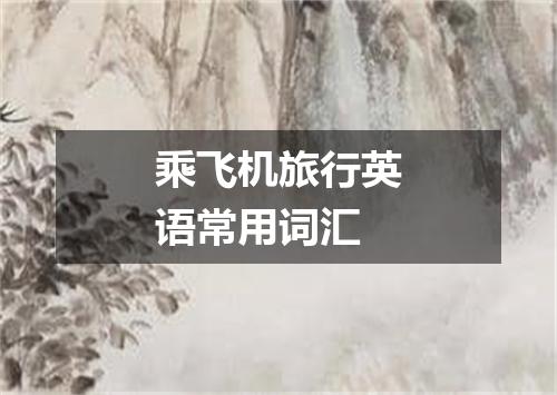乘飞机旅行英语常用词汇