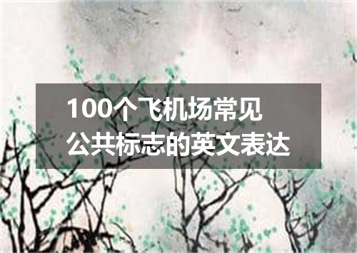 100个飞机场常见公共标志的英文表达