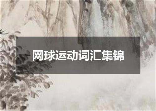 网球运动词汇集锦
