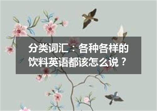 分类词汇:各种各样的饮料英语都该怎么说?