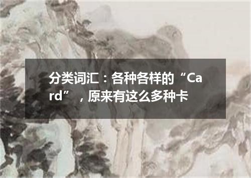 分类词汇:各种各样的“Card”,原来有这么多种卡