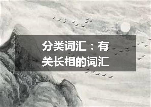 分类词汇:有关长相的词汇