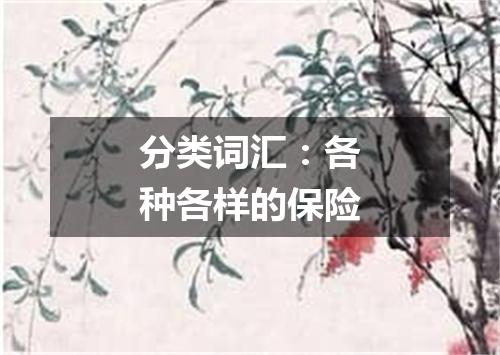 分类词汇:各种各样的保险
